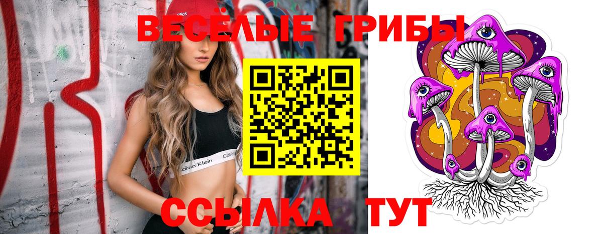хочу наркоту  Галлюциногенные грибы Cubensis  Вход с VPN  Псилоцибиновые грибы Psilocybe  Ачинск 